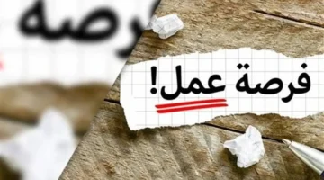 وظائف أمنية.. وزارة العمل تطرح مئات الشواغر في مجال الحراسة بالعاصمة القاهرة